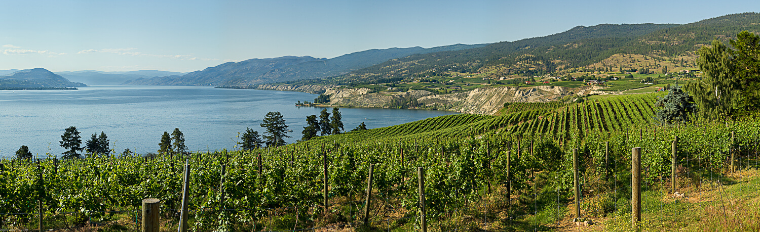 Lake Country Homes for Sale