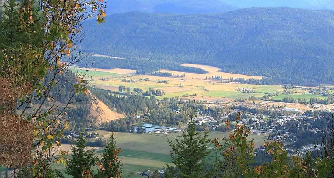 Lumby Homes for Sale